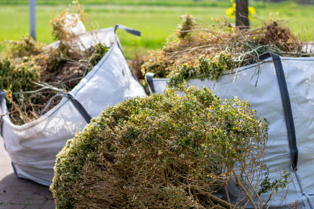 Best Household Junk Removal  in Lansing, KS
